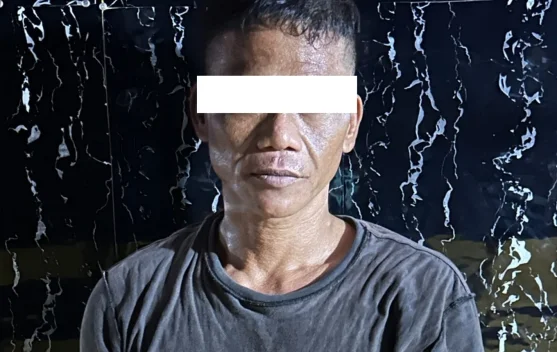 Bawa Parang, Pria di Prapat Tunggal Diduga Serang Polisi