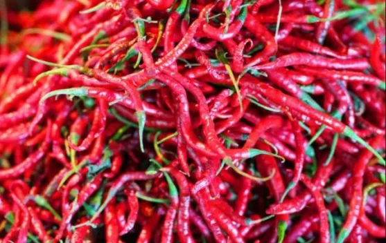 Harga Cabai Merah Keriting di Pasar Terubuk Bengkalis Capai Rp95 Ribu per Kilogram