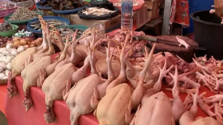 Harga Ayam Naik jelang Ramadan