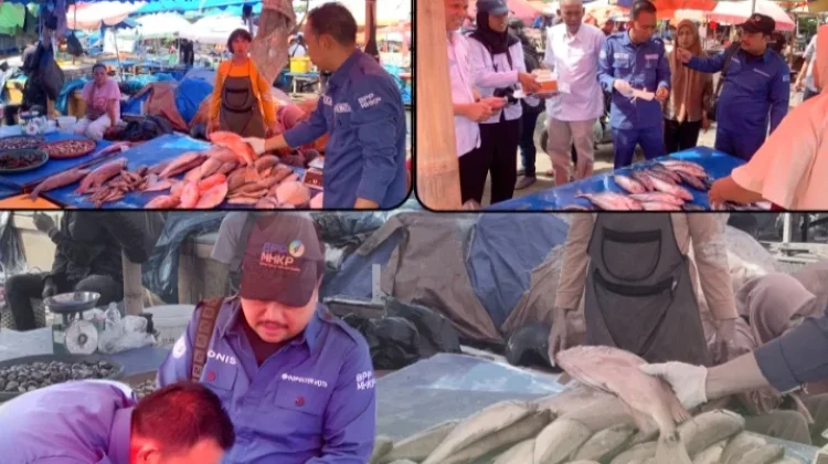 Waspada Keracunan, Badan Mutu KKP-Bengkulu Uji Ciguatoxin Ikan