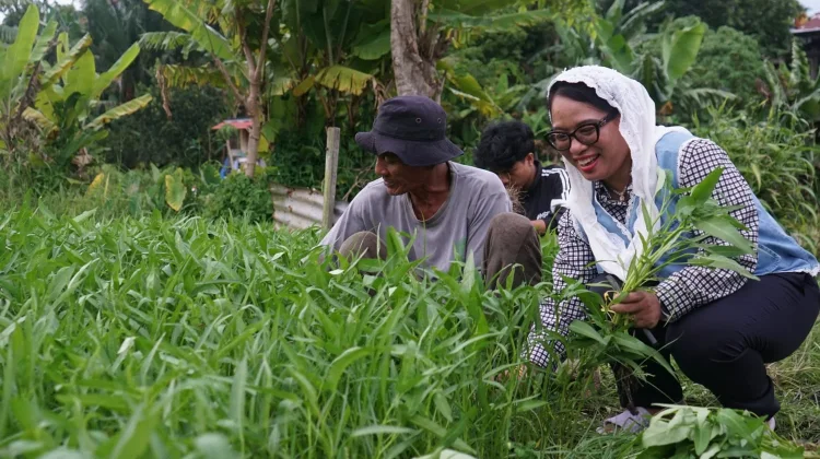 Maksimalkan MBG, Destita Minta SPPG Serap Potensi Sumberdaya Lokal
