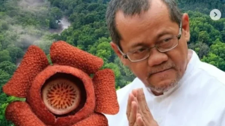 Temuan Bunga Rafflesia Harjati di Kalimantan Timur. KPPL: Spesies Baru