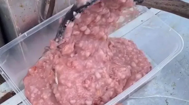 Bubur Beras Merah, Alternatif Sehat untuk Gaya Hidup Modern
