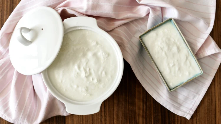 Manfaat Greek Yogurt untuk Tubuh