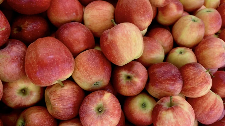 Fakta di Balik An Apple a Day