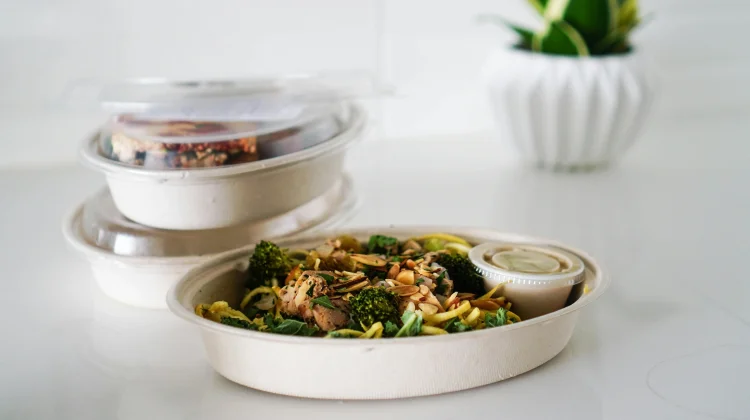 Bagasse Container, Alternatif Kemasan Ramah Lingkungan