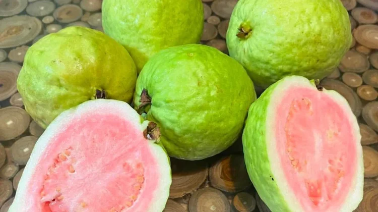 Hati-Hati Konsumsi Jambu Biji, Perhatikan Dampaknya bagi Kesehatan