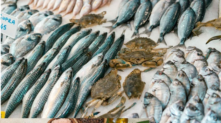 Lima Ikan Tinggi Protein Favorit Keluarga