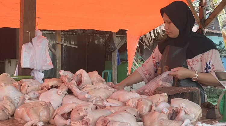 Harga Daging Ayam Potong Dibandrol Rp.48.000,-/kg