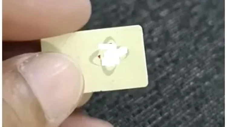 Cara Mengatasi Nomor HP Lama Tidak Aktif, Ini Langkah yang Bisa Dilakukan