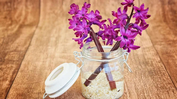 Pengharum Rumah Alami, Solusi Aman dan Hemat untuk Hunian Lebih Segar