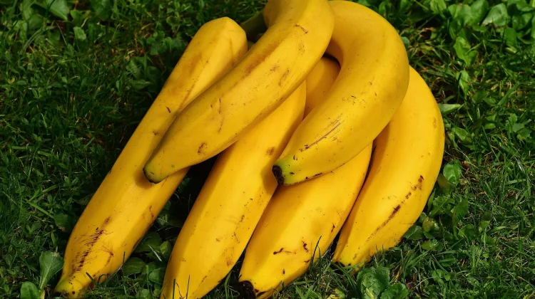 Sejuta Manfaat Buah Pisang untuk Kesehatan dan Energi Harian