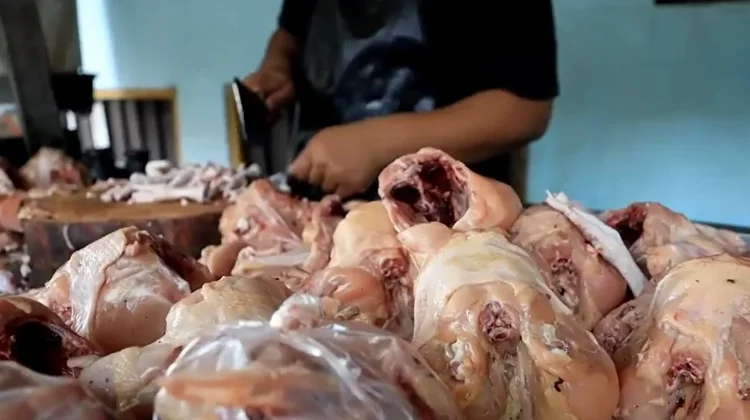 Cara Mengetahui Daging Ayam Tiren agar Tidak Tertipu saat Membeli