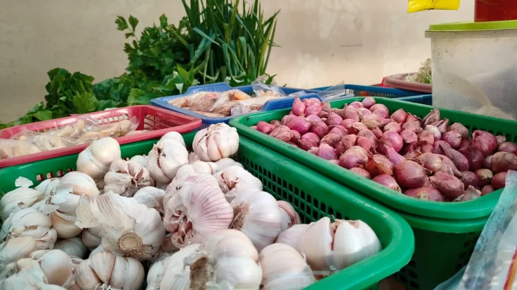 Harga Bawang Merah Rp. 45.000,-/kg