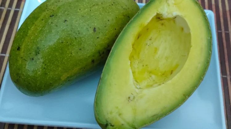 Buah Alpukat Miliki Segudang Manfaat Bagi Bumil