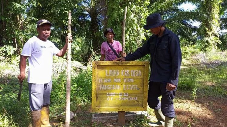 Genesis Temukan Kebun Kas Desa di Hutan Produksi