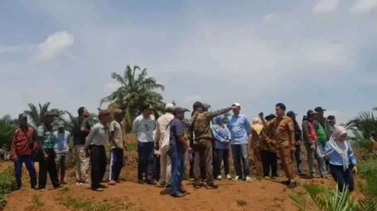 Bupati Bengkulu tengah Terima Hibah PT.SIL