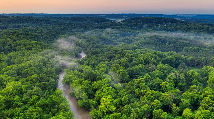 Hutan Kalimantan Penopang Nafas Kehidupan