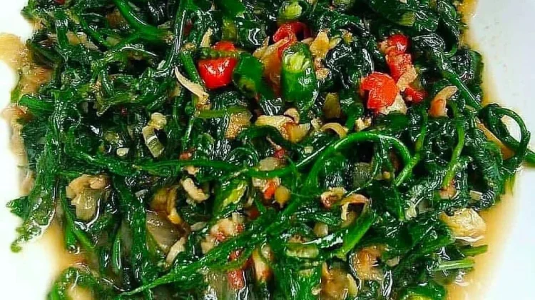 Mengolah Tumisan Pakis Cabe Hijau yang Lezat