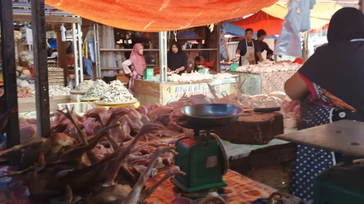 Harga Daging Ayam Melonjak Jelang Lebaran