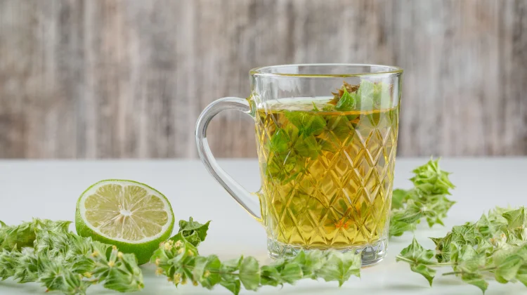Minuman Herbal Turunkan Kolesterol
