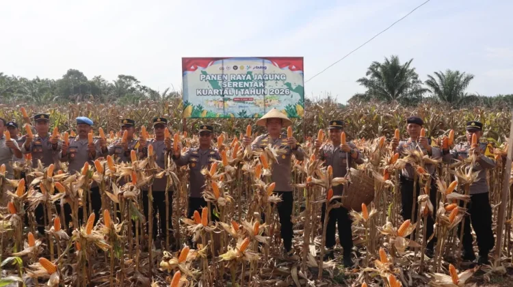 Polres Bengkulu Selatan Panen Raya Jagung, Dukung Swasembada Pangan 2026