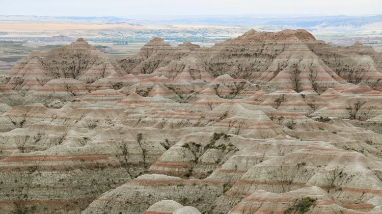 Mahakarya Alam yang Terukir Waktu: Menyingkap Pesona Taman Nasional Badlands