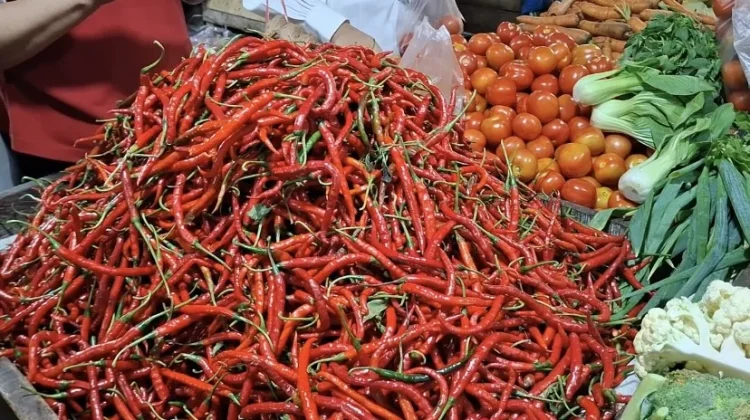 Harga Cabai Turun, Bawang Naik