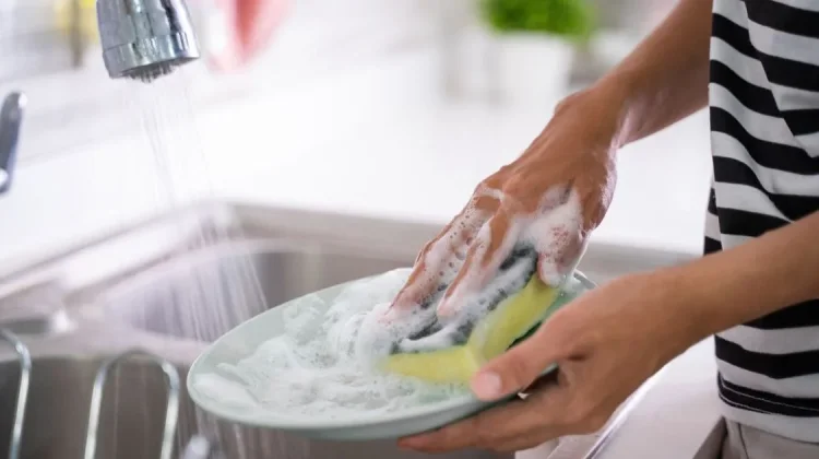 Cara Merawat Spons Cuci Piring agas Bebas Kuman