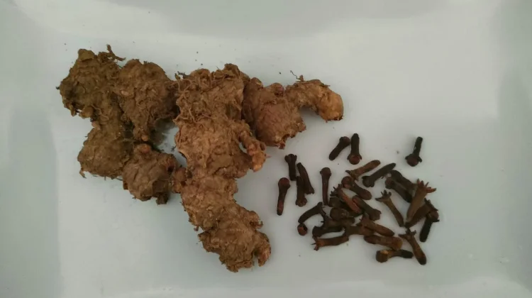 Berikut Obat Alami Turunkan Gula Darah