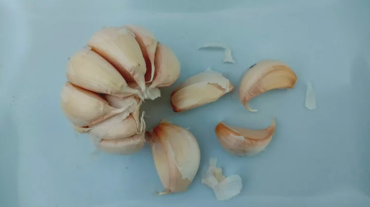 Beragam Manfaat Mengkonsumsi Bawang Putih