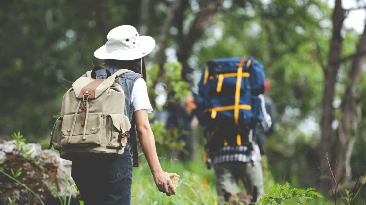 Hiking Pemula, Wajib Siapkan Ini!