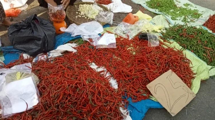 Harga Cabai Merah di Kota Bengkulu Stabil