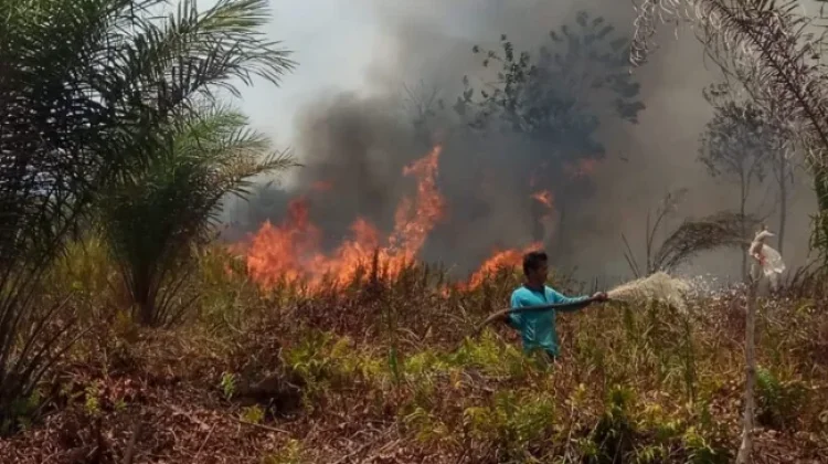 BPBD Kaur Imbau Masyarakat Waspada Terhadap El Nino Godzilla