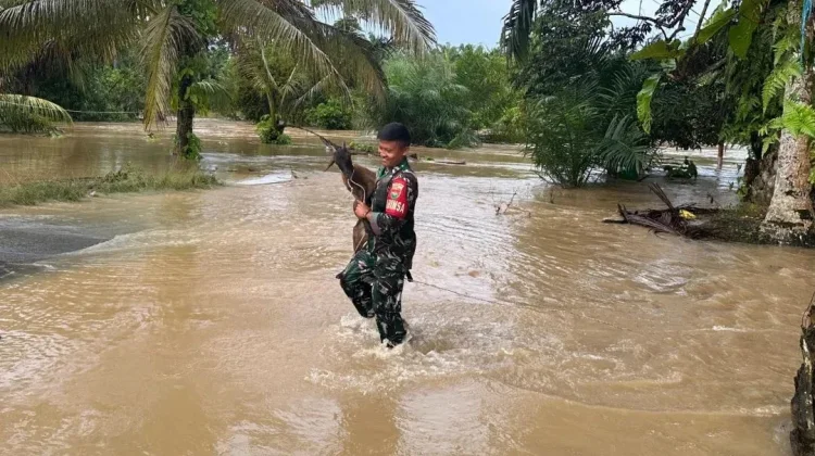 Kodim 0428/Mukomuko Tanggap Banjir, Evakuasi Warga dan Harta Benda
