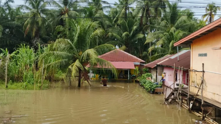 Banjir di Kota Bengkulu Belum Surut, Warga Mulai Mengungsi