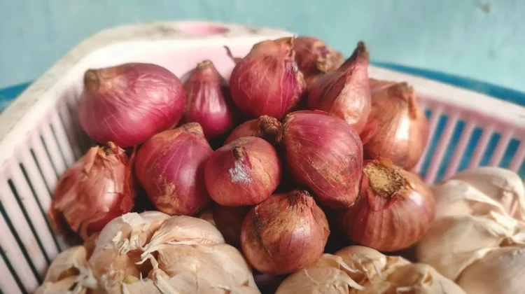 Harga Bawang Merah di Arga Makmur Rp.48.000,-/kg