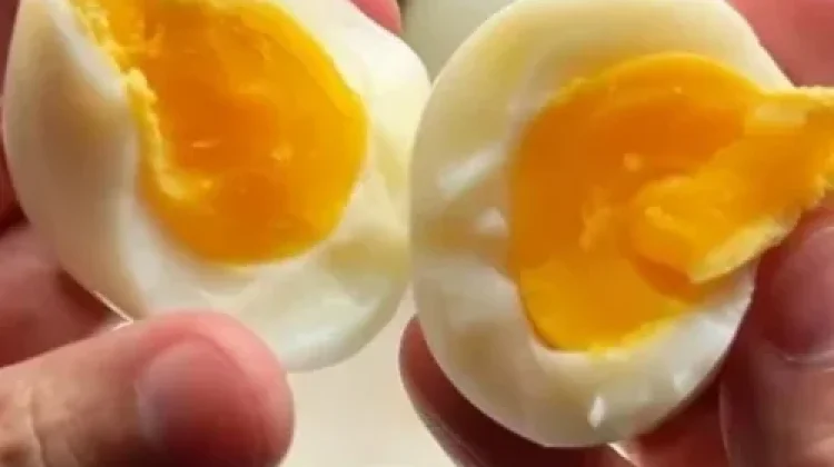 Manfaat Rutin Konsumsi Telur Setiap Hari Bagi Kesehatan