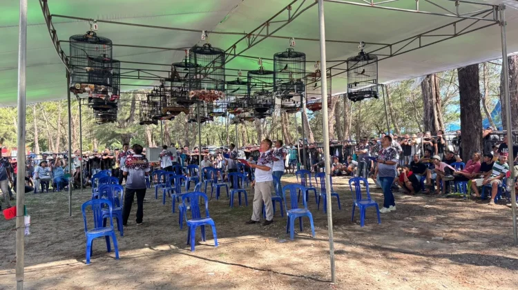 Suasana Lomba Burung Kicau yang Selalu Ramai Penonton