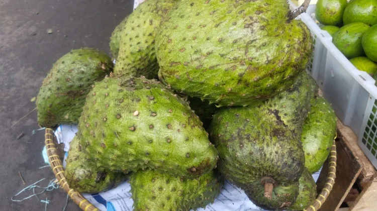 Buah Sirsak Miliki Manfaat Mencegah Penyakit Kanker