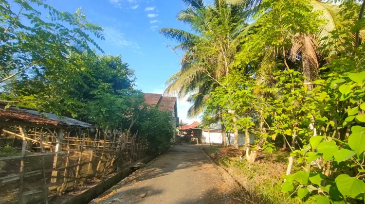 Ini Penyakit yang Rentan Terjadi pada Musim Kemarau