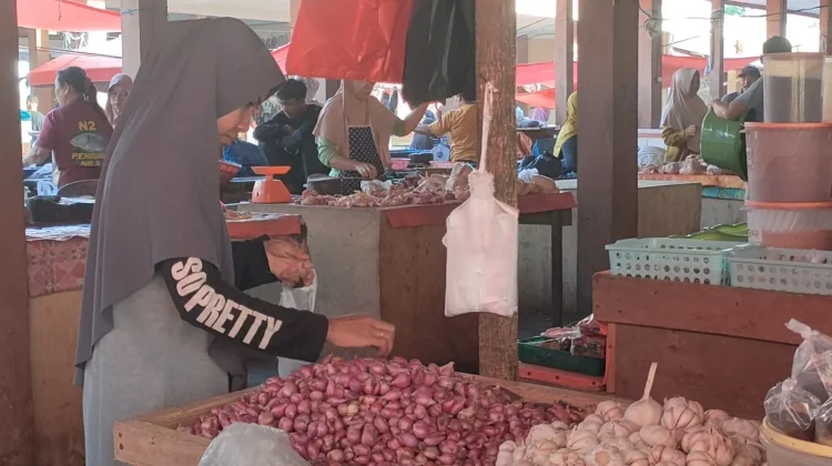 Harga Bawang Tak Kunjung Turun