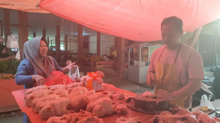 Harga Daging Ayam Potong Turun