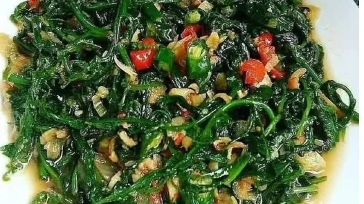 Tumis Pakis, Hidangan Sederhana dengan Cita Rasa Khas yang Menggugah Selera