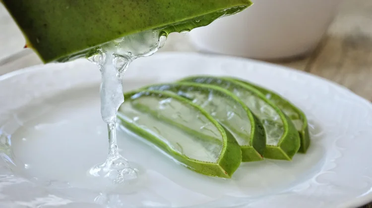Manfaat Lidah Buaya untuk Kecantikan