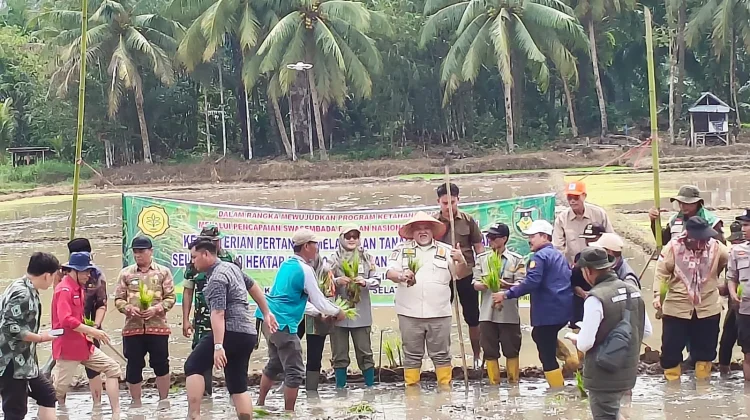 Dorong Swasembada Pangan, BRMP Bengkulu Kawal Gertam 50 Ribu Hektar Nasional