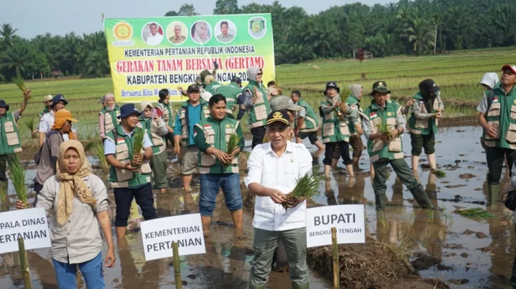 Bengkulu Tengah Dukung Gertam, Perkuat Swasembada Pangan Berkelanjutan