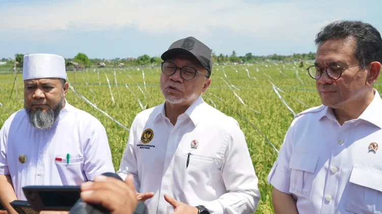 Zulhas Pastikan Alih fungsi Lahan Tak Terjadi, Irigasi Rusak Diperbaiki