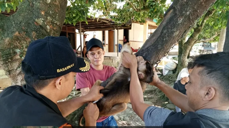 Kaur Terima 500 Doksin Vaksin Rabies
