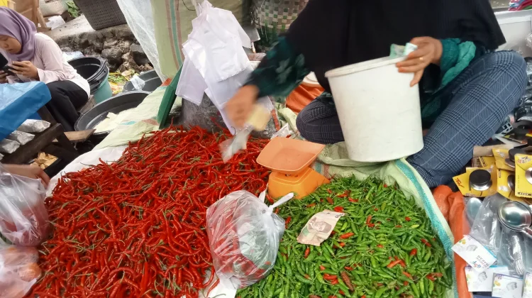 Jelang Iduladha Harga Cabai Merah Mahal
